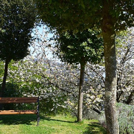 Monte A Pescia Villa Buitenkant foto