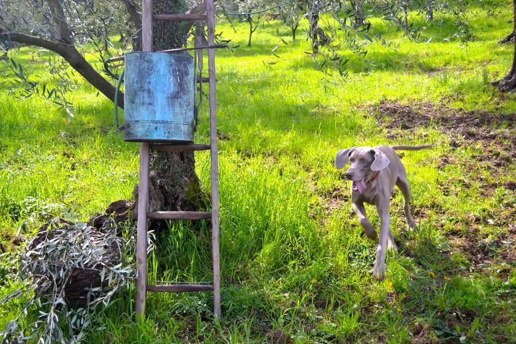 Monte A Pescia Villa Buitenkant foto