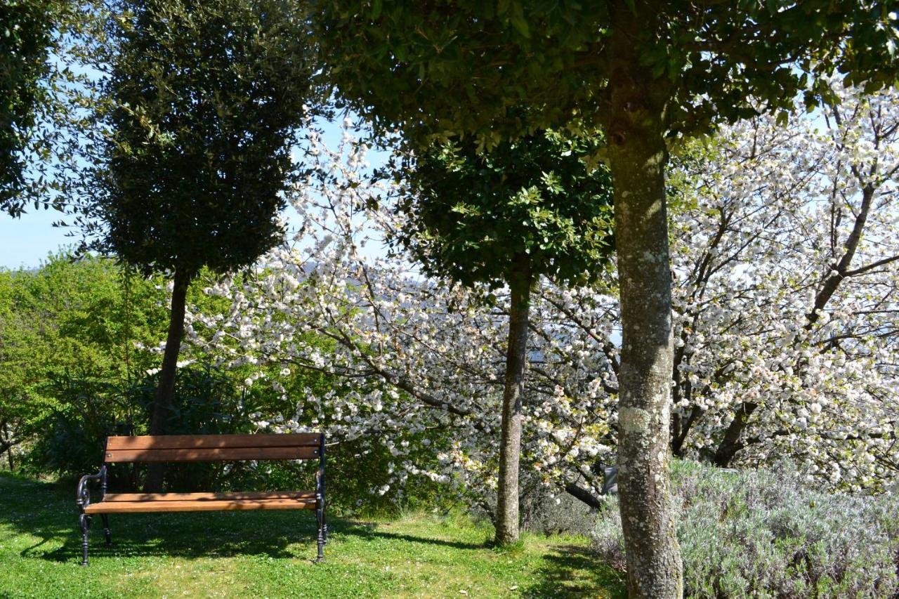 Monte A Pescia Villa Buitenkant foto